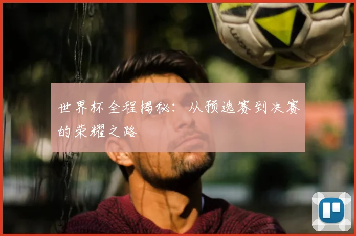 世界杯全程揭秘：从预选赛到决赛的荣耀之路