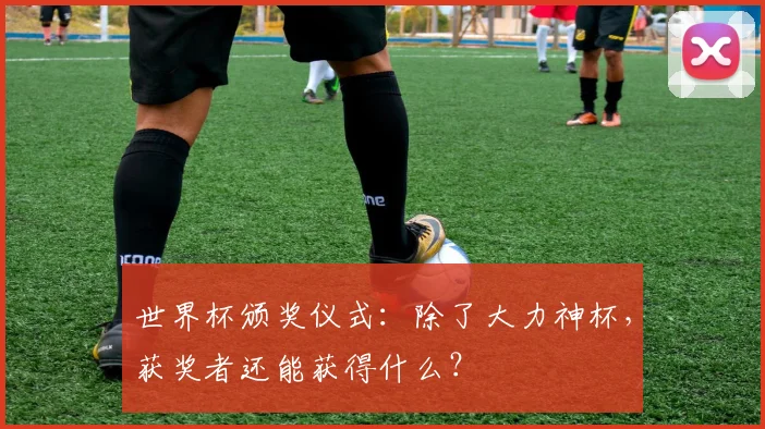 世界杯颁奖仪式：除了大力神杯，获奖者还能获得什么？