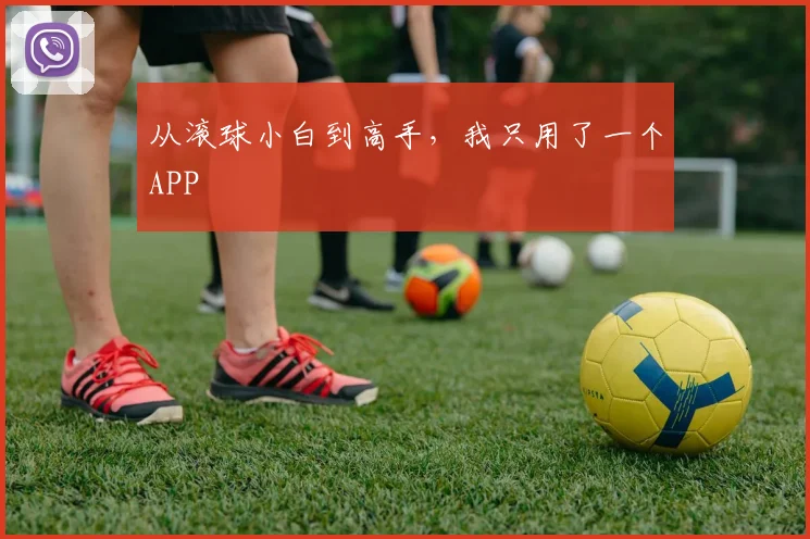 从滚球小白到高手，我只用了一个APP