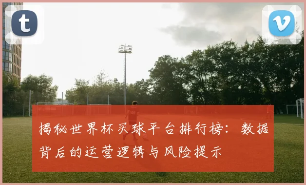揭秘世界杯买球平台排行榜：数据背后的运营逻辑与风险提示