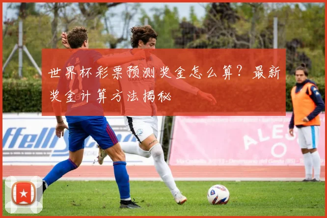 世界杯彩票预测奖金怎么算？最新奖金计算方法揭秘