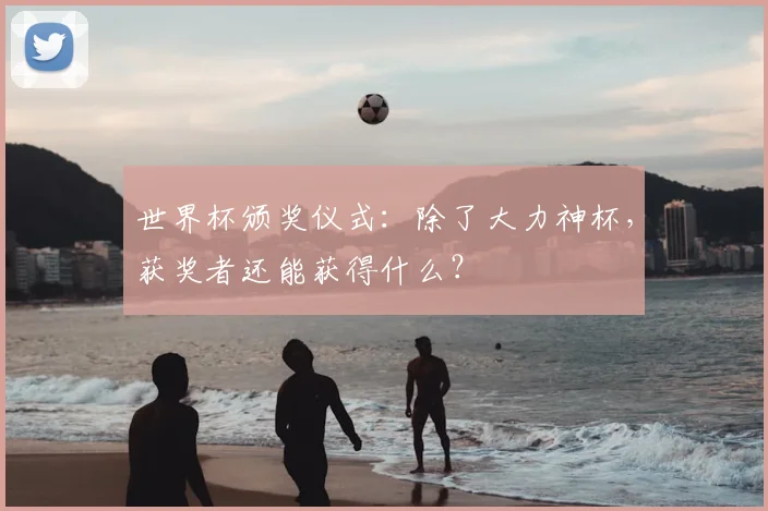 世界杯颁奖仪式：除了大力神杯，获奖者还能获得什么？