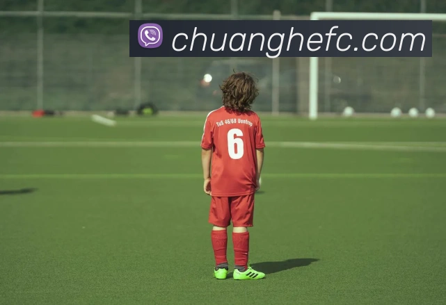 爱游戏ayx官方入口发展历程